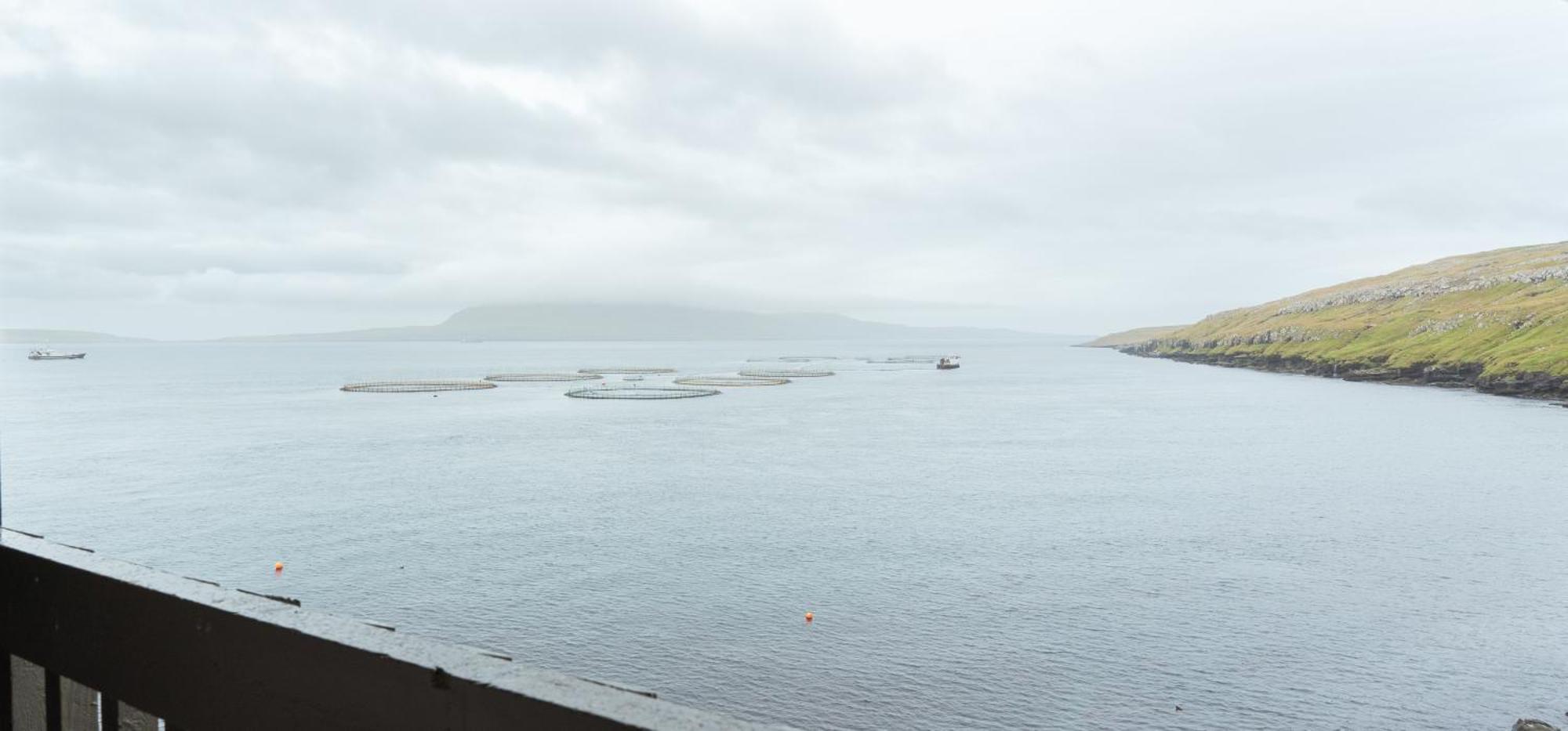 A Tromini Guesthouse Tórshavn Dış mekan fotoğraf